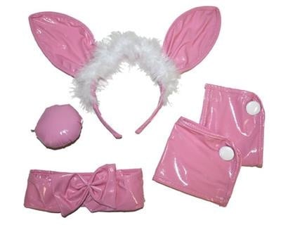 Funny Fashion Bunny set roze 4-dlg pvc