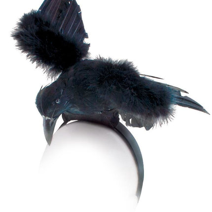 Funny Fashion Diadeem met grote  kraai