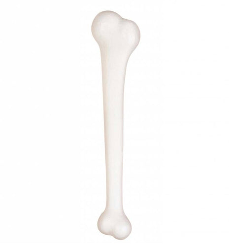 Funny Fashion Groot bot safari jungle 38cm