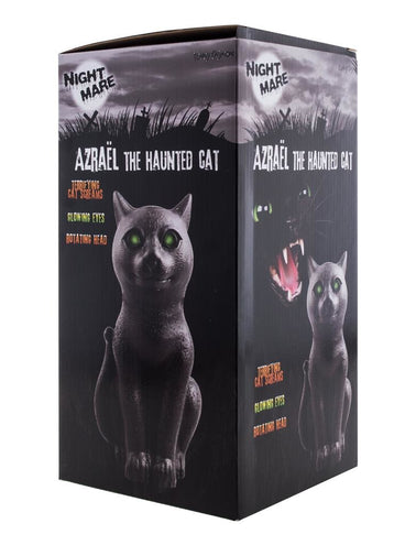 Funny Fashion Halloween deco horror kat