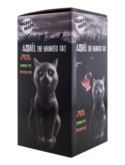 Funny Fashion Halloween deco horror kat