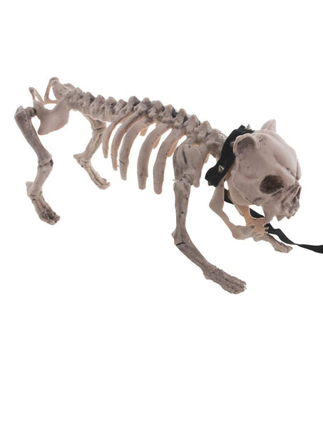 Funny Fashion Honden skelet