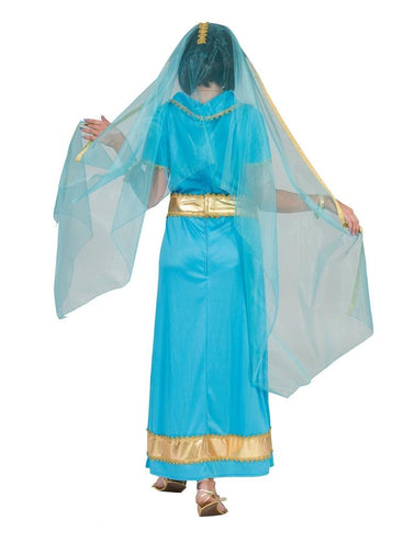 Funny Fashion Indiase verkleed jurk Anandi