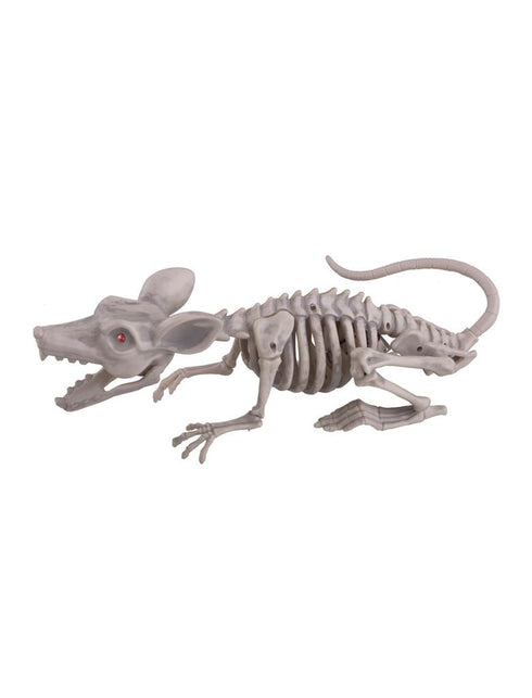 Funny Fashion Skelet van een rat 38cm
