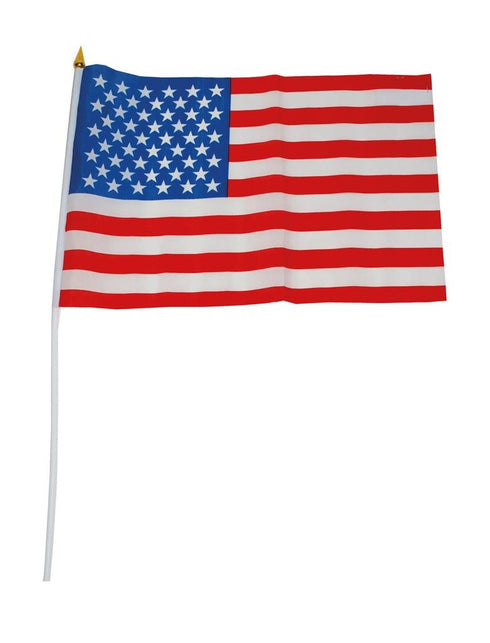 Funny Fashion Vlag 30x45cm Op Stok USA