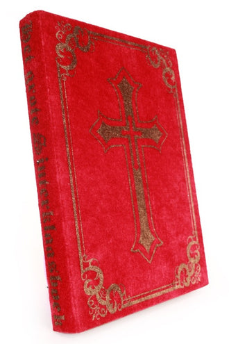 PartyXplosion Boek van Sinterklaas