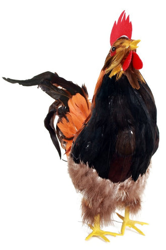 PartyXplosion Haan 32 cm.