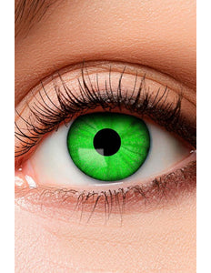 PartyXplosion Lenzen Franky