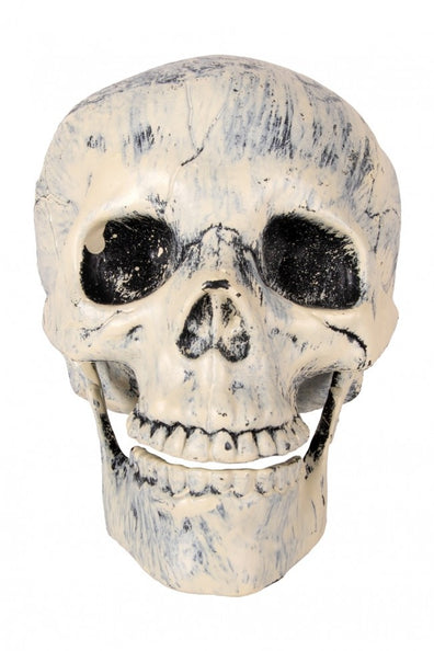 PartyXplosion Nep schedel