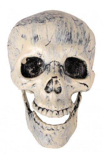 PartyXplosion Nep schedel