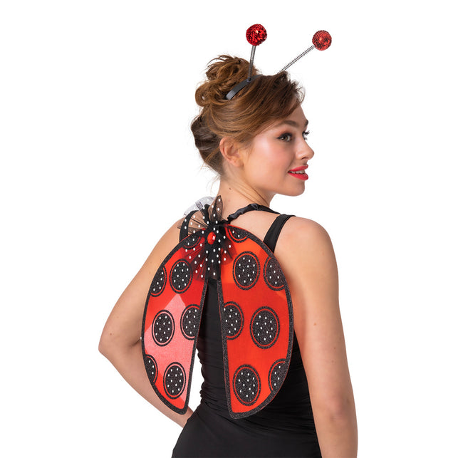Wicked Costumes Lieveheersbeestje 2 delige set Jill